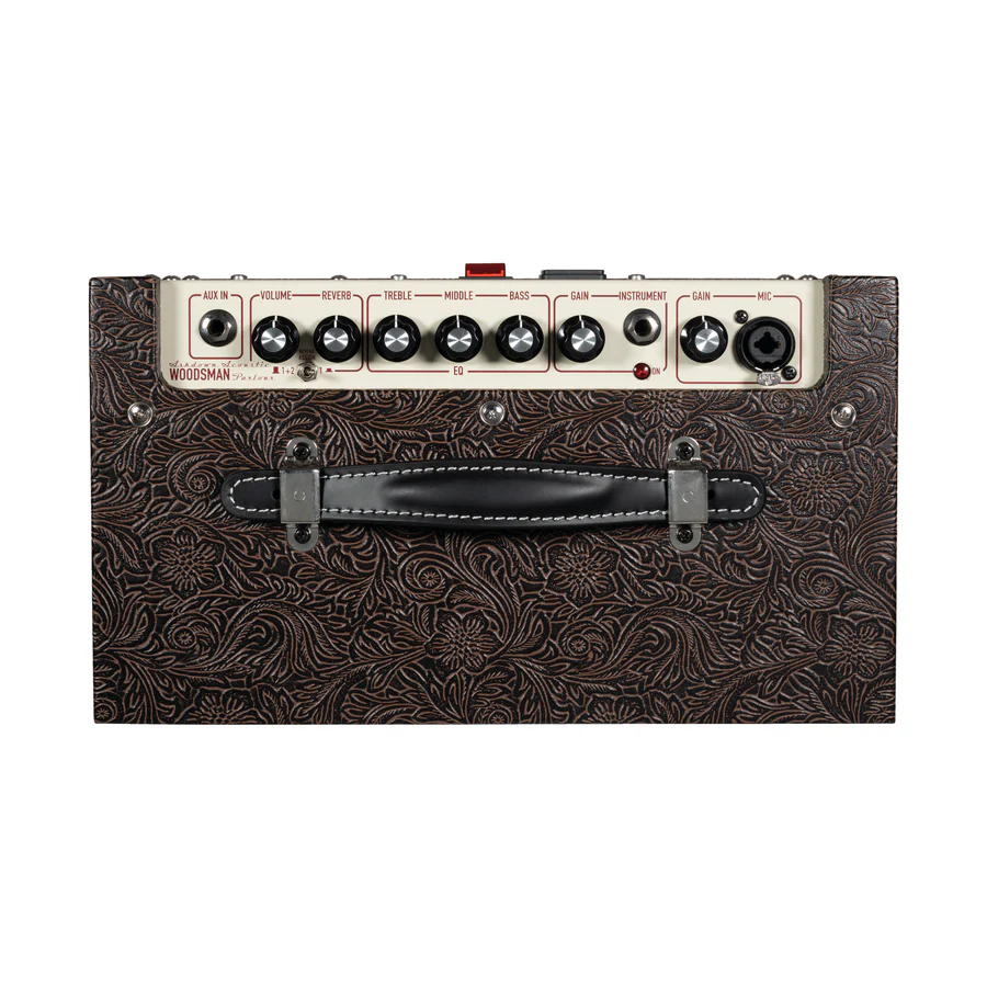 Ashdown Woodsman PARLOUR 25w Acoustic Amp Combo
