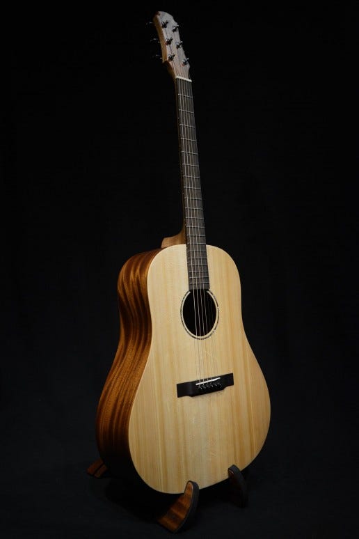 Maestro Project X X1-SD Dreadnought Acoustic Guitar w/Gigbag