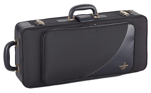 Yanagisawa AWO1 Professional Alto sax (A-WO1)