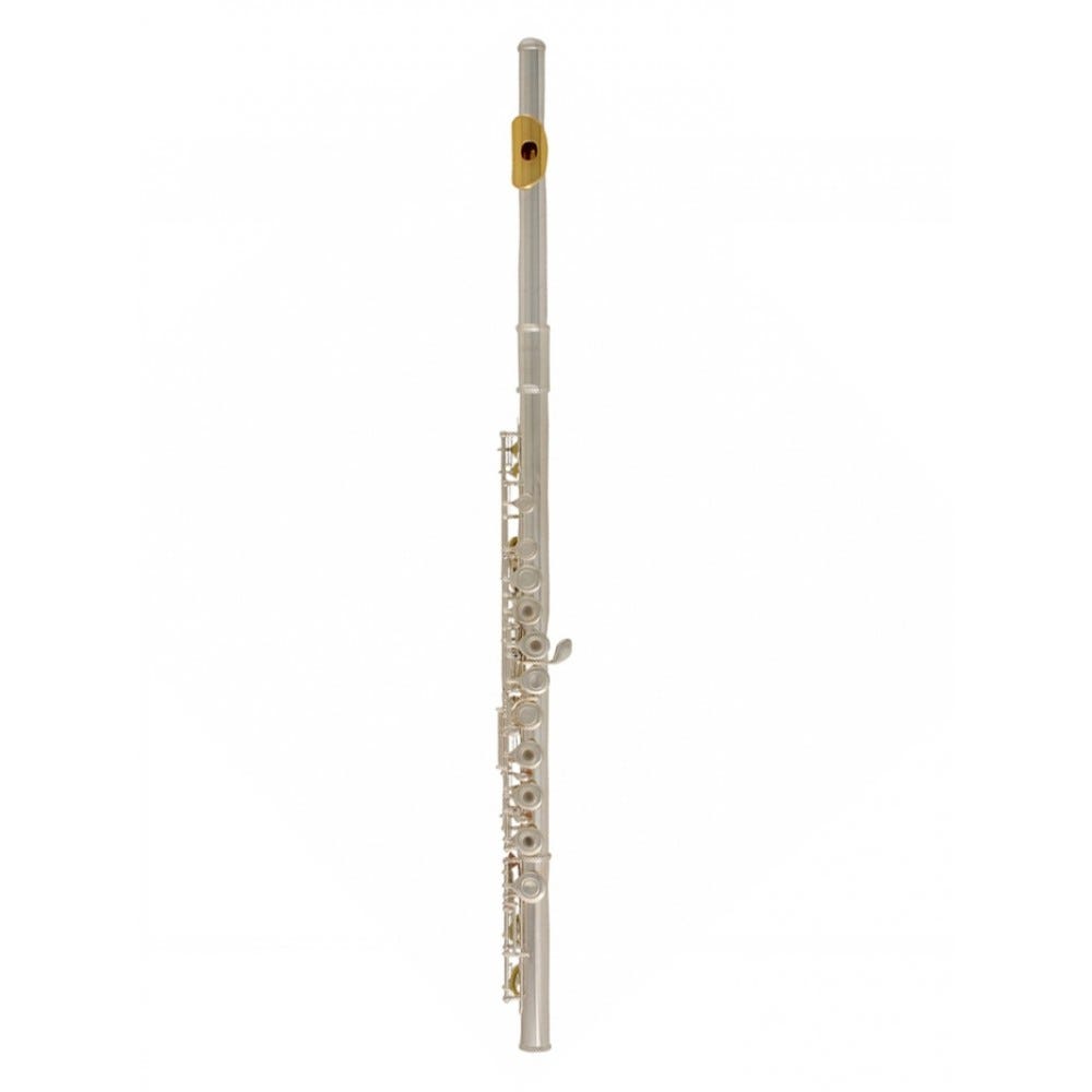 Yamaha YFL372HGLID Intermediate B-Foot Gold Lip Plate