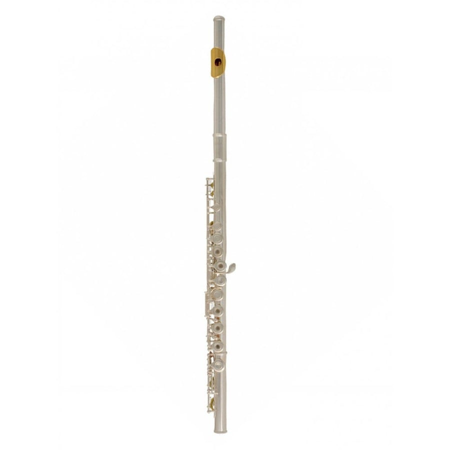 Yamaha YFL372HGLID Intermediate B-Foot Gold Lip Plate