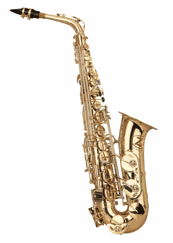 Zo Academy Alto Saxophone w/High F# - Lacquer Finish (ZOACAS)
