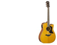 Dreadnought Acoustic Guitars