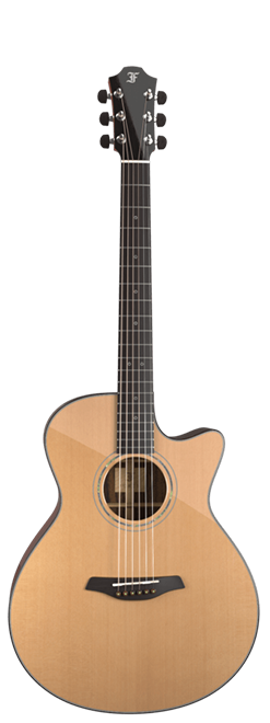 Acoustic Guitars