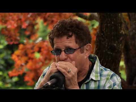 Lee Oskar F-Sharp Diatonic 10 Hole Harmonica