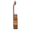 Katoh KF-CEQ Flamenco Guitar w/Pickup - Spruce / Agathis