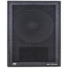 Peavey Dark Matter DM 115 15