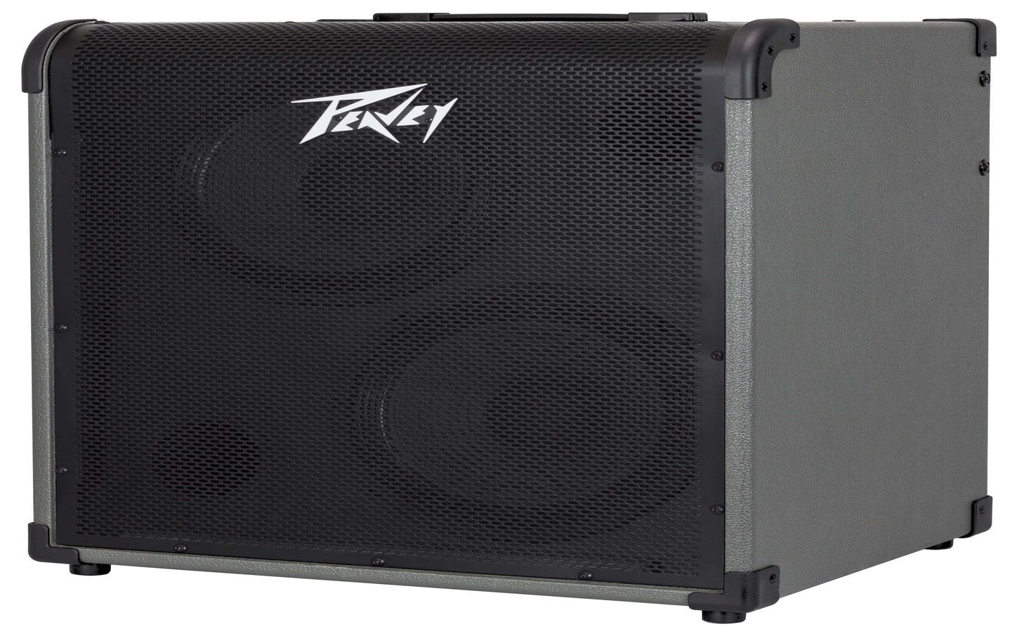 Peavey MAX 300 2x10