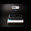 Modal CRAFT Mono Analog Synth Module