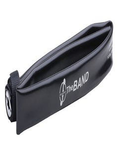 Band Cello Pickup