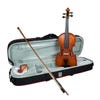 Hidersine Finetune Vivente Academy 4/4 Violin Outfit