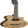 Yamaha APXT2EW Exotic Wood 3/4 Acoustic/Electric Guitar w/Gigbag - Natural
