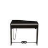 Dexibell VIVO H10MG Mini Grand Digital Piano - Black Polished