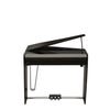Dexibell VIVO H10MG Mini Grand Digital Piano - Black Polished