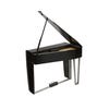 Dexibell VIVO H10MG Mini Grand Digital Piano - Black Polished