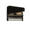 Dexibell VIVO H10MG Mini Grand Digital Piano - Black Polished