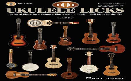 101 Ukulele Licks Bk/Cd