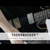 Suhr Thornbucker Humbucker Pickup - Neck - Zebra