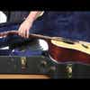 Planet Waves Automatic Two Way Humidification System