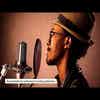 Audio Technica AT4040 Condenser Microphone