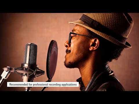 Audio Technica AT4040 Condenser Microphone