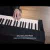 Alesis Prestige 88-Note Digital Piano