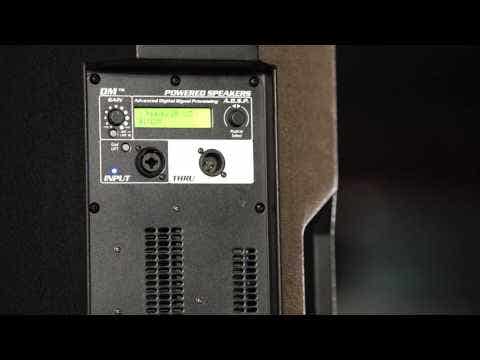 Peavey Dark Matter DM 115 15