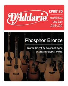 D'Addario Acoustic Bass String Set - Long Scale 45-100 (EPBB170)