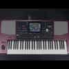 Korg PA1000 61-Note Performance Arranger Keyboard