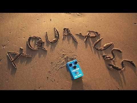 Way Huge SMALLS Aqua-Puss Analog Delay MkIII Pedal