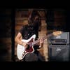 Suhr Badger 35W Guitar Amp Head (Series 2)