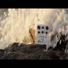 Meris Polymoon Super-Modulated Delay Pedal