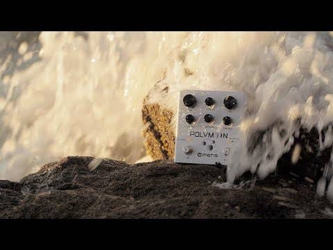 Meris Polymoon Super-Modulated Delay Pedal