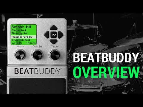 Singular Sound BeatBuddy 2-button Footswitch