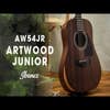 Ibanez AW54JR OPN Acoustic Guitar w/Bag - Open Pore Natural