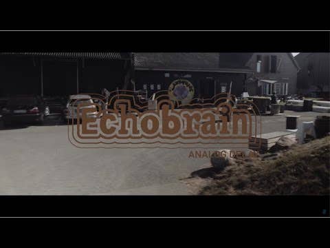 TC Electronic Echobrain Analog Delay Pedal