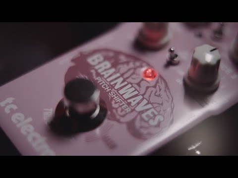 TC Electronic Brainwaves Pitch Shifter w/MASH Footswitch