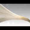 D'Addario VENN Synthetic Tenor Sax Reed - 2.0