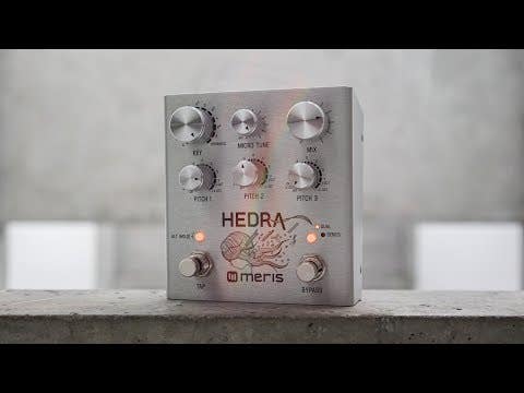 Meris Hedra 3-Voice Rhythmic Pitch Shifter Pedal