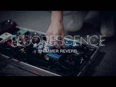 TC Electronic Fluorescence Shimmer Reverb Pedal