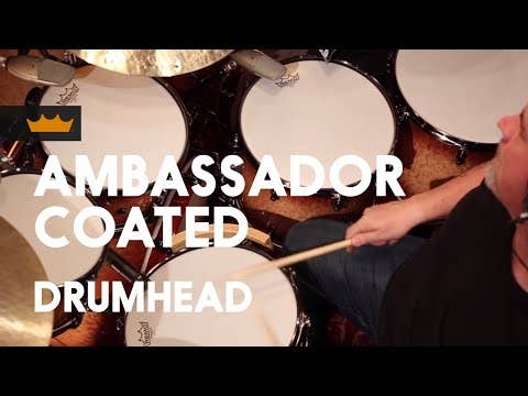 Remo Ambassador Coated 12