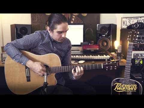 Tasman Seeker TA100-CE Dreadnought Acoustic/Electric Guitar w/Case