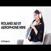 Roland Aerophone MINI Digital Wind Instrument (AE01)