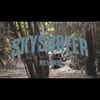 TC Electronic Skysurfer Reverb Pedal