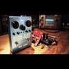 Way Huge Supa-Puss Analog Delay Pedal