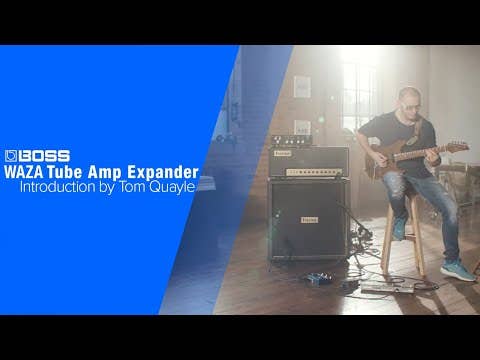 Boss Waza Tube Amp Expander v2 - Reactive Loadbox / Cab Simulator / Interface