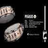 Mapex Black Panther Pegasus 14x5.5