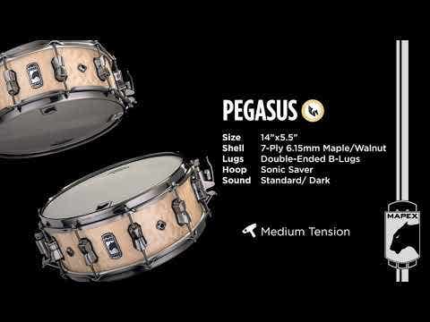 Mapex Black Panther Pegasus 14x5.5