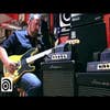 Ampeg Portaflex PF-20T Bass Amp Head