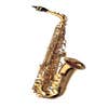 Yanagisawa AWO1 Professional Alto sax (A-WO1)